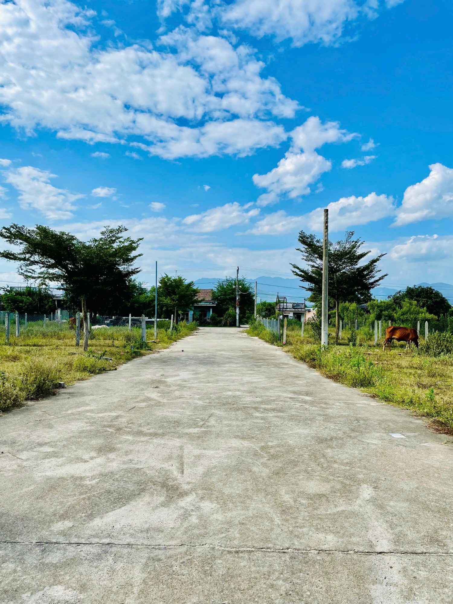 Bán đất ngang 15m Suối Tiên, Diên Khánh, tỉnh Khánh Hoà