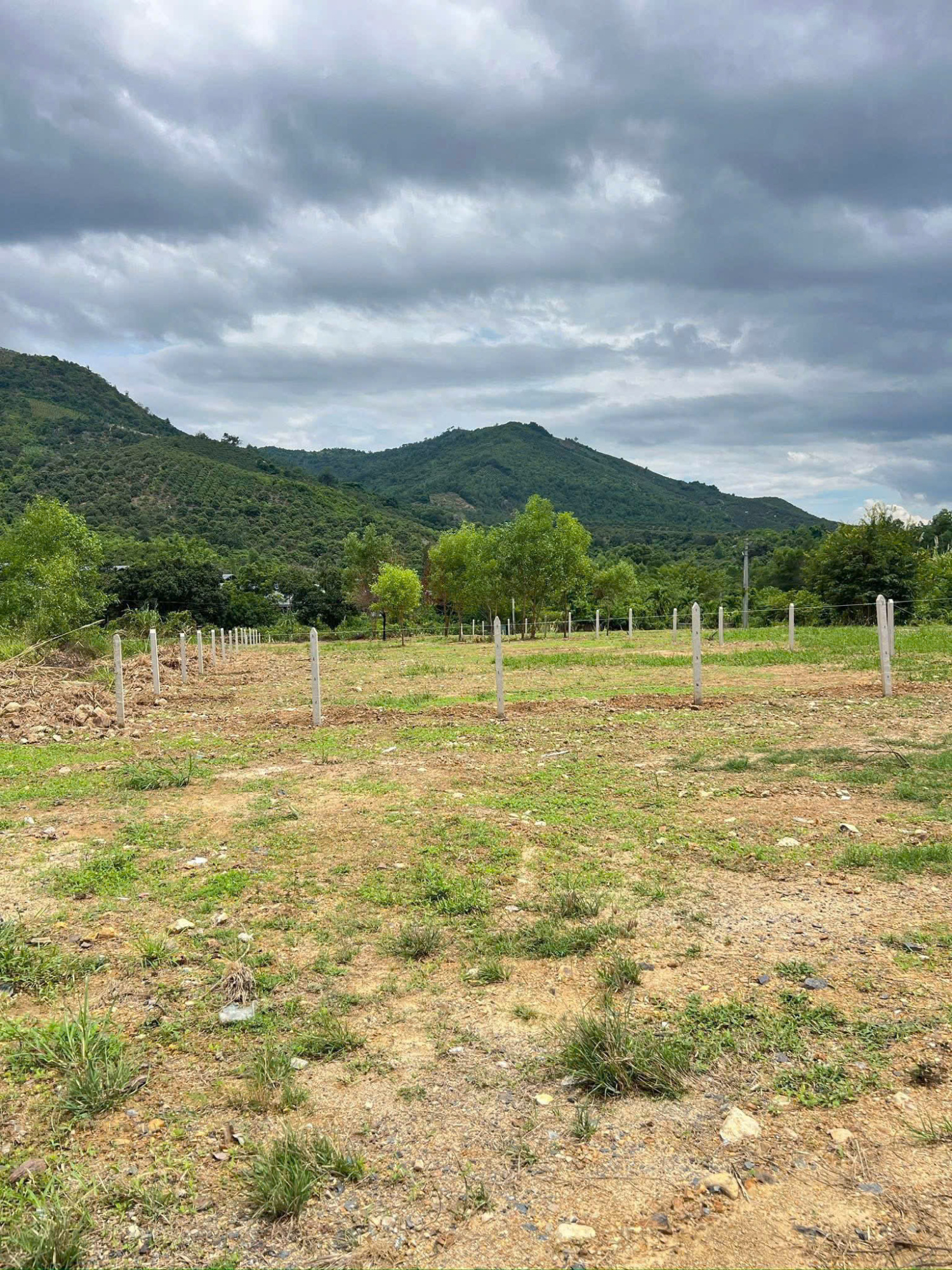 Bán đất nằm mặt tiền Tỉnh Lộ 3 rộng 42m - thuộc XÃ SUỐI DẦU