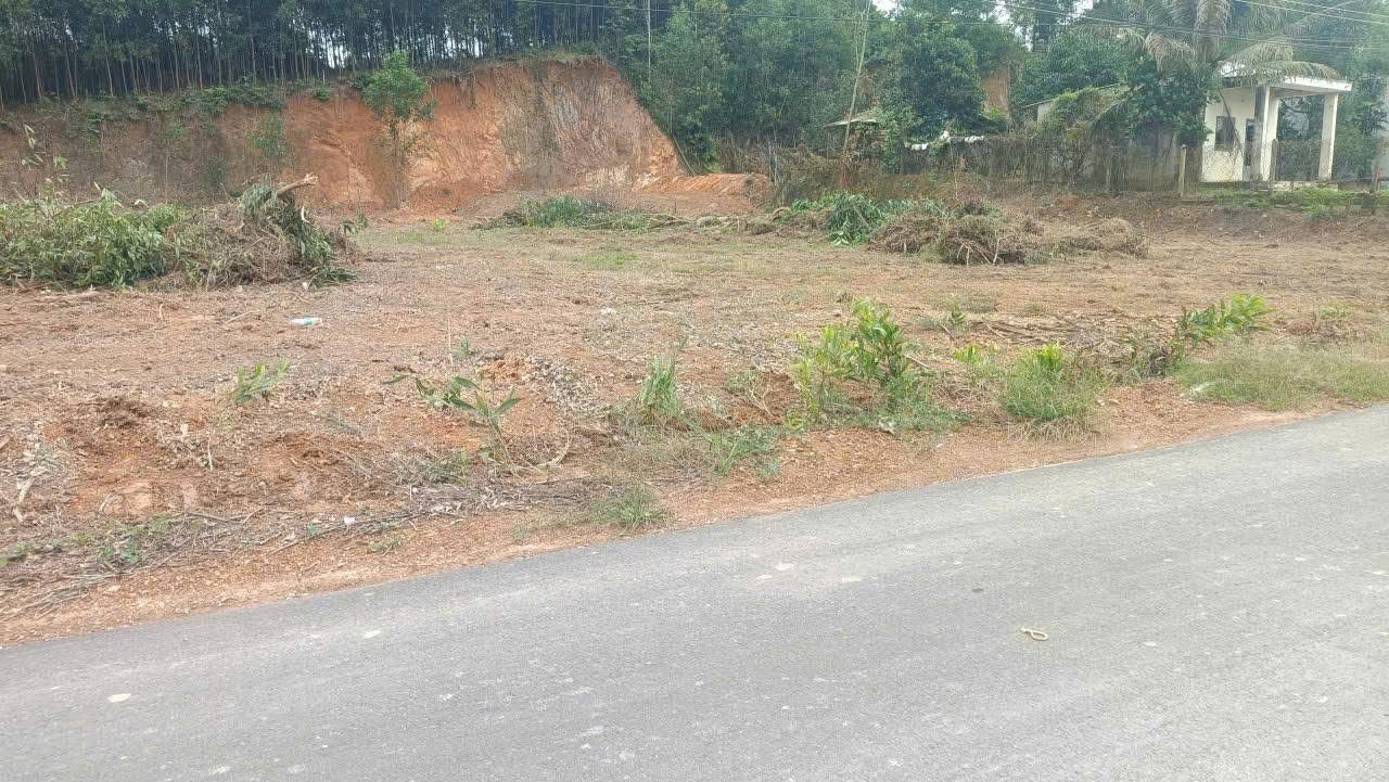 Mở bán 8 lô đất FULL THỔ CƯ  Mặt tiền đường Nhựa thôn Xuân Nam xã Diên Lâm- Diên Khánh